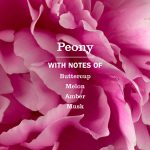 Peony Room Freshener - Image 4