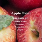Apple Cider Dish Soap 3-count Bundle - Image 4
