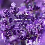 Lavender Foaming Hand Soap - Image 4