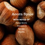 Acorn Spice Liquid Hand Soap 3-count Bundle - Image 4