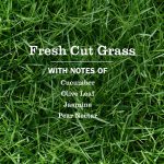 Fresh Cut Grass Plug In Scented Oil Refill, 2-Pack - Image 4
