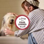 Sweet Chamomile 3-in-1 Dog Shampoo - Image 9