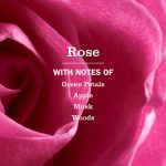 Rose Liquid Hand Soap - Image 4
