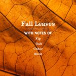 Fall Leaves Multi-Surface Everyday Cleaner 3-count Bundle - Image 4