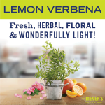 Lemon Verbena Vinegar Gel Cleaning Spray - Image 3