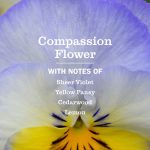 Compassion Flower Soy Candle Large - Image 2