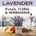 Lavender Automatic Dish Pacs - Image 3