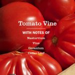 Tomato Vine Room Freshener - Image 4
