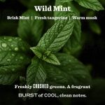 Wild Mint Garden Heirloom Candle - Image 3