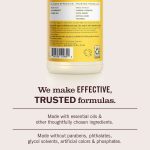 Dandelion Multi-Surface Everyday Cleaner 3-count Bundle - Image 6