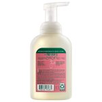 Watermelon Foaming Hand Soap - Image 2