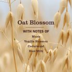 Oat Blossom Liquid Hand Soap & Refill Set - Image 2