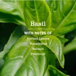 Basil Hand Lotion - Image 4
