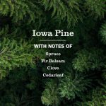 Iowa Pine Room Freshener - Image 4