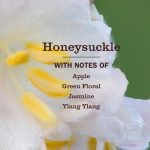 Honeysuckle Multi-Surface Everyday Cleaner - Image 4