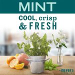 Mint Tin Candle - Image 3