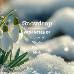 Snowdrop Soy Candle Large - Image 2