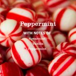 Peppermint Kitchen Basics Set - Image 2