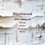 Birchwood Liquid Hand Soap - Image 4